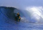surfing - come and surf. fun!