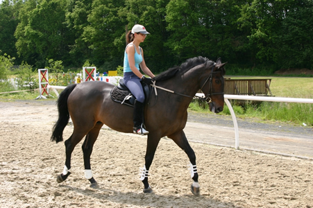 horse riding - horse riding: a girl riding a horse