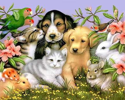 loveable pets - picture of cute pets