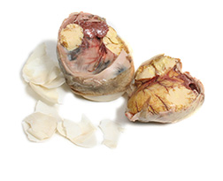 Balut  - An Asian delicacy that consists of a whole egg containing a duck or chicken fetus. Unlike a traditional egg that has not been fertilized which contains only the white and a yolk, Balut is an egg that has matured for approximately 17 to 21 days so the embryo of the chick begins to form within the shell. When ready for use, the Balut is prepared by boiling the egg and then eating the broth within the shell before consuming the young chick. Once cooked, the bones of the chick become tender and easily edible. Served in China, Cambodia, Philippines, and Vietnam, Balut is typically eaten as a snack or appetizer.