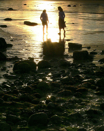 mother and daughter - mother and daughter silhouette