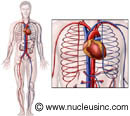 Blood pressure system - look this!!!