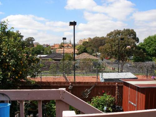view from my Back Door - View from my back door that the birds circle around late afternoon and mornings..