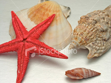 souvenirs - souvenirs from the beach