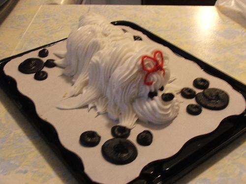 Doggie cake - This is the dogie cake my mom brought over the other night!