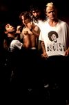 Red Hot Chili Peppers - Music Picture