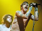 Red Hot Chili Peppers - Music Picture