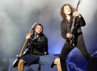 Metallica - Music Picture