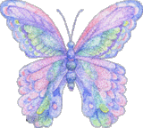 Butterfly - Animated butterfly
