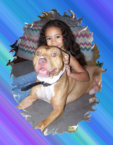 Bree & Zane... - This is my 5 year old daughter and our 2 1/2 year old pitbull! As you can see, they get along great! Why ban him because of some humans ignorance?