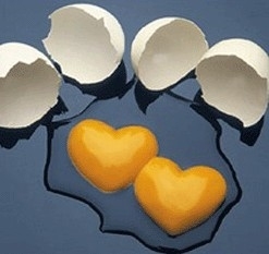 eggs-love - two eggs