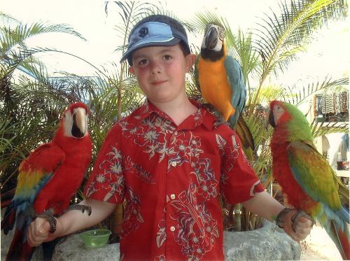 My oldest son in Mexico - Gabe holding parrots while on vacation in Mexico...