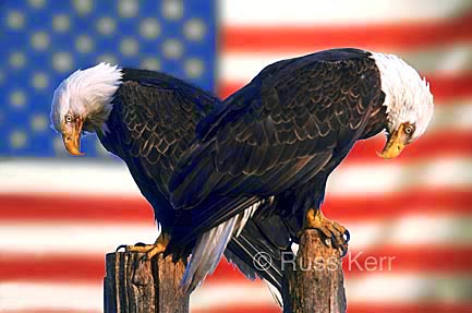 American Pride - I'm proud to be an American...are you?