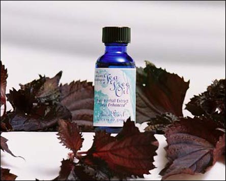 Tea Tree Oil - The world'd most potent natural anti-bacterial agent. Wonderful for various ailments, from pimples to core sores.