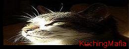 kuching mafia - come join kuching mafia