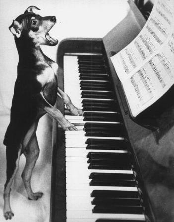 jerry lee lewis lets rip! - gkojhfr[g d[rg hhg [arh [zdihrf jerry lee lewis lets rip! - gkojhfr[g d[rg hhg [arh [zdihrf