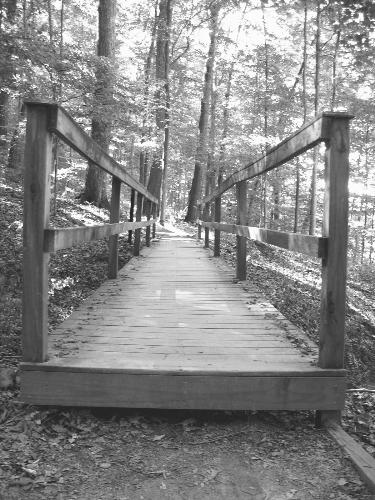 Where the Bridge Ends - This is one of my most popular photo's which can be purchased on Ebay. Take a look!