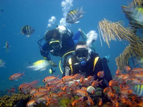Scuba - Scuba Diving