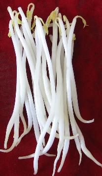 Chinese vegetables-mung bean sprout - A kind of chinese vegetables