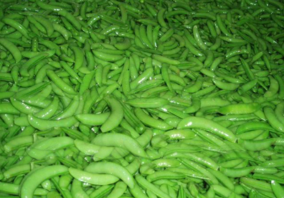 Chinese vegetable-pea - A kind of Chinese vegetables