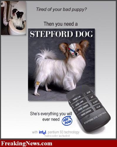 Intel Dog! - Technical Dog