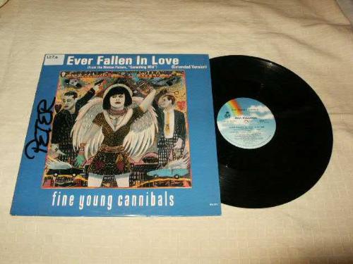fallen in love - ever fallen in love