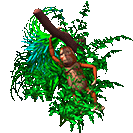 Monkey swinging in tree - Monkey swinging in the tree