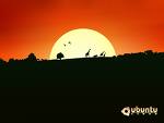 Nature - why moon rise at night and sun at day what is the secret behind this Nature - why moon rise at night and sun at day what is the secret behind this