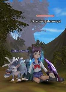 flyff billposter - my flyff character a level 79 billposter with her pet baby lawolf