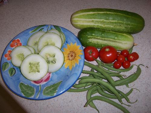 Vegetables from my patio garder - These are vegetables I grew in my garden that I started earlier this year. There are cucumbers, tomatoes, and green beans.