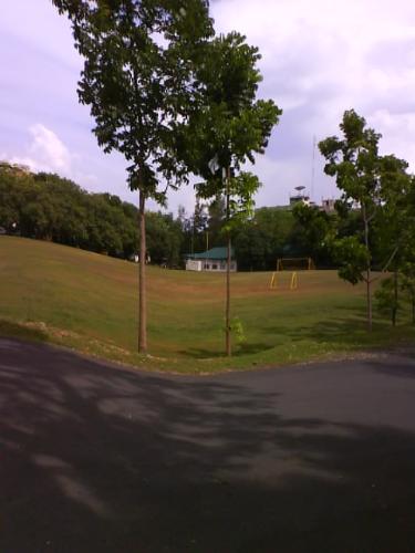 Down the road - This is the road sculpted by humans to follow it's natural form of curveness. The road going downslope.
