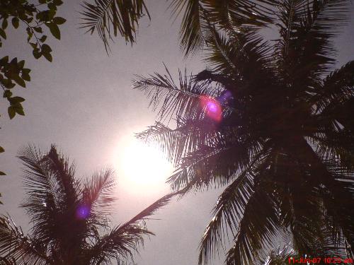 Mid Day Sun - I have captured this photo at my village. It a mid day sun.......