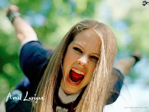 Avril Sweety - still beauty