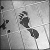 shower - wet footprints on the bathroom floor...