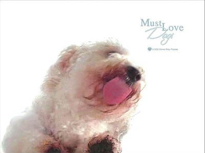 must love dog - dd