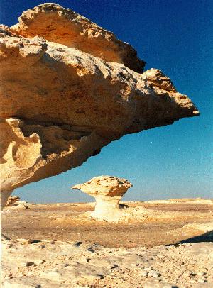 sinaa - sina reser the wonderful desert