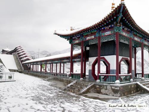 snow - butiful snow!