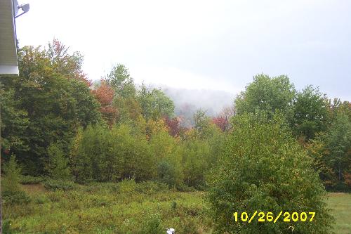 foggy morning -  thought this was beautiful..taken one foggy, fall morning outside my home.