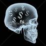nice - skull