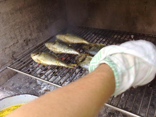 Filsh on a grill - These are couple of fishes that we caught in Adriatic sea this summer (2007) Does anyone else love spearfishing?
