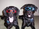 glares - hw does the glares look on us??? mine is better than his :P
