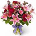 flowers - about variety of flowers