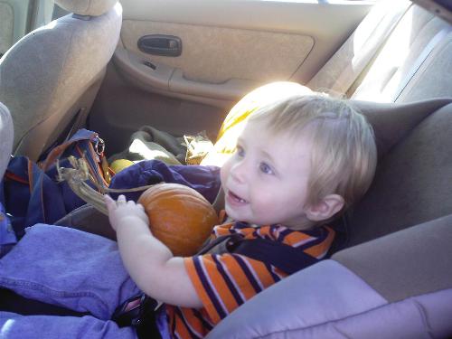 First Pumpkin! - Nephew proudly holds his first pumpkin.