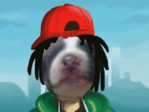 groovey dog - dog