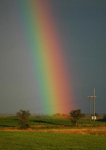 rainbow - colors of the rainbow