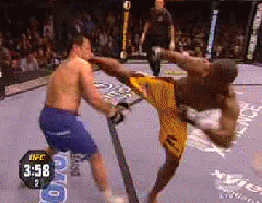 ufc - Mixed Mrtial Arts shoot fighting is an amazing sport.