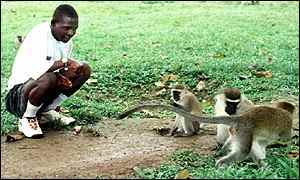 John Ssebunya of Uganda - His Mother got killed and the monkeys cared for hin