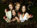 the housewives - here are the lead casts
