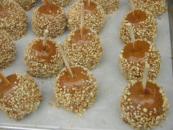 caramel apple - Picture of caramel apples with peanuts
