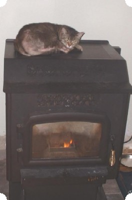 Tigger sleeping on the corn stove - Yes, the fire is on, and the cat is resting there. Silly thing. It's not hot up there, but warm enough to make her feel at home. :)